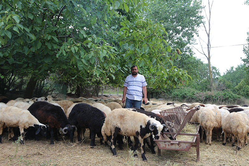 Anadolu hisarı adak kurban satış yeri