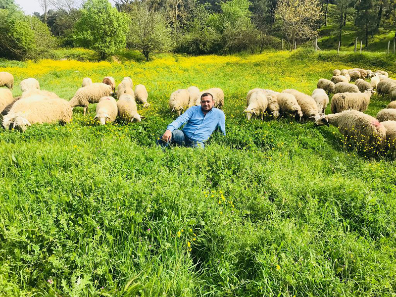 Büyükbakkalköy adak kurban satış yeri