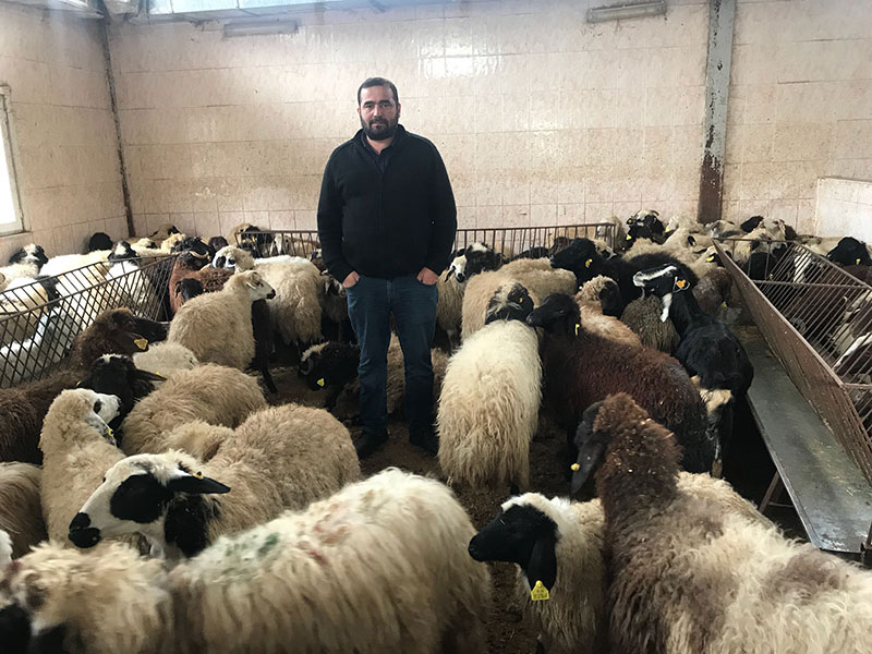 Gülensu adak kurban satış yeri